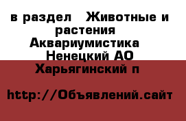  в раздел : Животные и растения » Аквариумистика . Ненецкий АО,Харьягинский п.